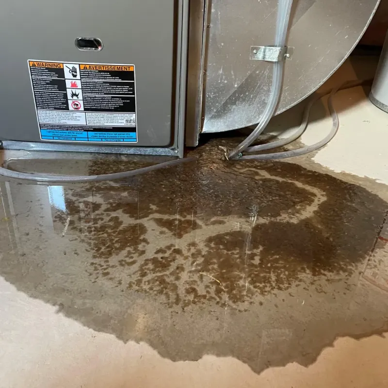 Appliance Leak Cleanup in Saint Pauls, NC